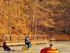 -洛阳白云山景区