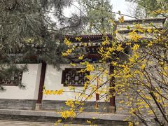 -兴教寺