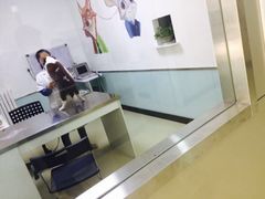 -特一安24小时宠物医院·骨科·中兽医