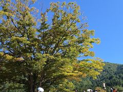 -白川乡与五箇山的合掌构造村落