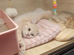 -万达广场(松江店)