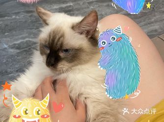 有啥是家有️猫更快乐的事情嘛