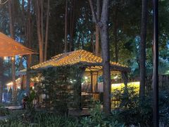 -二荆条·蜀鲜汇城市森林火锅