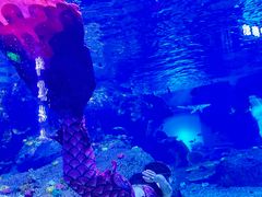 -沙沙哗啦海洋馆(华宇百花谷店)