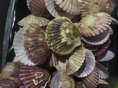 -兆辉木炭海鲜烧烤·海鲜小炒