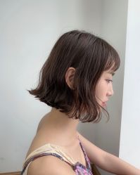 -IDOL-PLUS