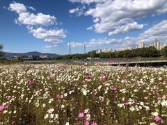-永定河休闲森林公园