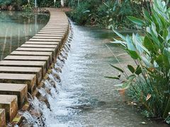 -桤木河湿地公园