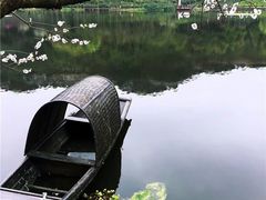 -重庆彩云湖湿地公园