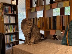 -隅cafe(傅厚岗店)