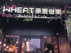 门面-原麦世家(莱蒙店)