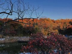 -周口店坡峰岭风景区