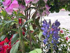 -方恒购物中心(望京小街店)