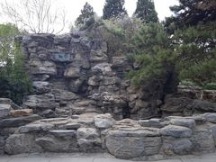 -团结湖公园