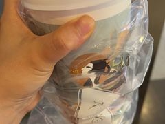 -茶理宜世(东方宝泰店)