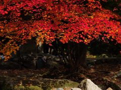-本溪老边沟风景区