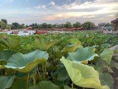 -小王府(什刹海店)