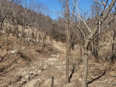 -白水寺森林公园