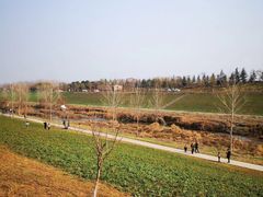 -洨河生态公园
