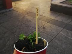 -黑色经典臭豆腐·湖南特产(太平街口店)