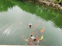 -白马涧龙池景区