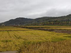 -南泥湾风景区