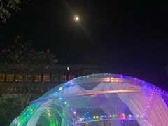 -上海崇明金茂凯悦酒店