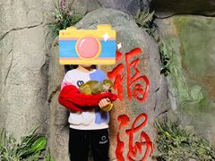 -泉城欧乐堡海洋极地世界
