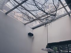 -素咫咖啡CLIFEROSE