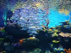 -华夏文旅海洋公园