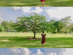 -华南国家植物园-售票处