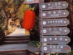 -天门沟九州驿站树上汤泉