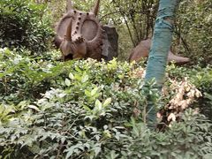 -贵州森林野生动物园