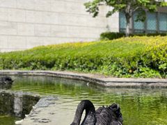 -行者书屋大堂吧 ·下午茶(南京圣和府邸酒店)