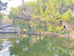 -叶家花园