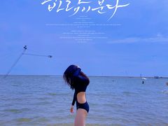 -碧海金沙