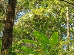 -神光山国家森林公园