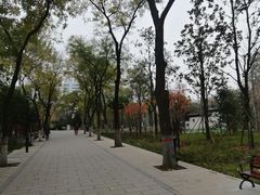 -莲湖公园