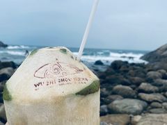 -三亚蜈支洲岛旅游区