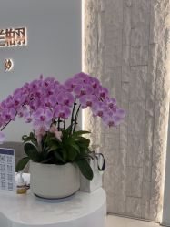 -杭州米兰柏羽医疗美容医院