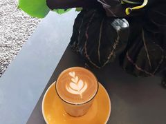 -Seesaw Coffee(朝阳大悦城店)