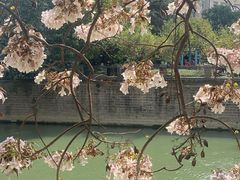 -红星桥(地铁站)