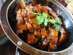 温泉烧鹅-农厨好味·温泉鹅·农家菜