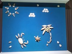 -青岛贝壳博物馆