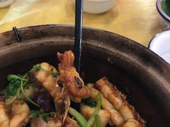 砂锅鱼腩煲-焯明脆肉鲩世家(金沙洲店)