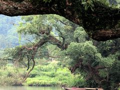 -上坦村