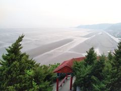 -大鹿岛