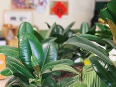 -Catch Bagel(芳草地店)