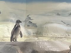 -上海海洋水族馆