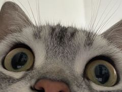 -天津市第一殡仪馆